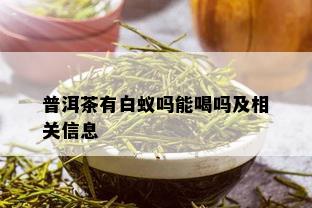 普洱茶有白蚁吗能喝吗及相关信息