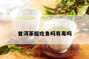 普洱茶能吃鱼吗有吗