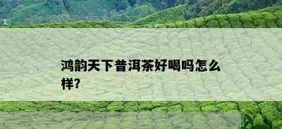 鸿韵天下普洱茶好喝吗怎么样？