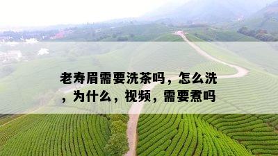 老寿眉需要洗茶吗，怎么洗，为什么，视频，需要煮吗