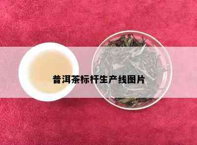 普洱茶标杆生产线图片