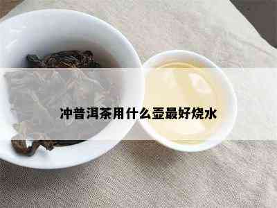 冲普洱茶用什么壶更好烧水