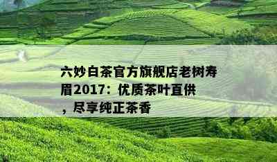 六妙白茶官方旗舰店老树寿眉2017：优质茶叶直供，尽享纯正茶香