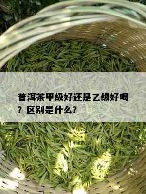 普洱茶甲级好还是乙级好喝？区别是什么？