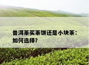 普洱茶买茶饼还是小块茶：如何选择？