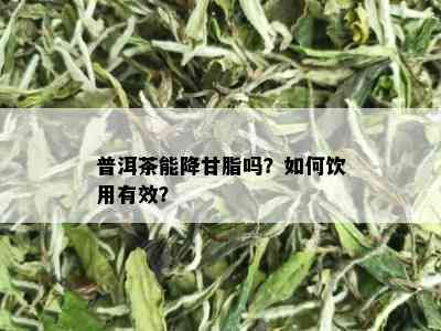 普洱茶能降甘脂吗？如何饮用有效？