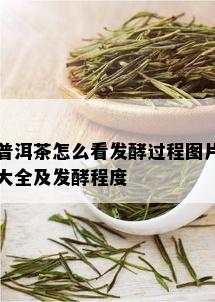 普洱茶怎么看发酵过程图片大全及发酵程度