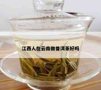 江西人在云南做普洱茶好吗