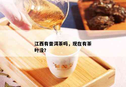 江西有普洱茶吗，现在有茶叶没？