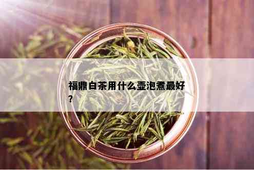 福鼎白茶用什么壶泡煮更好？