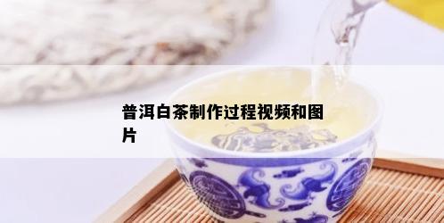 普洱白茶制作过程视频和图片