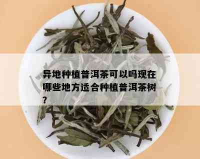 异地种植普洱茶可以吗现在哪些地方适合种植普洱茶树？