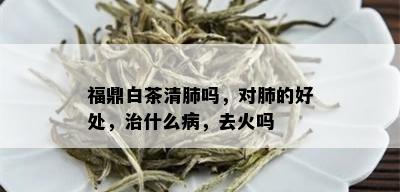 福鼎白茶清肺吗，对肺的好处，治什么病，去火吗