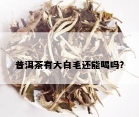 普洱茶有大白毛还能喝吗？