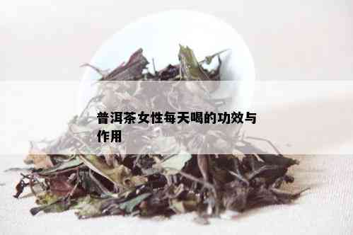 普洱茶女性每天喝的功效与作用