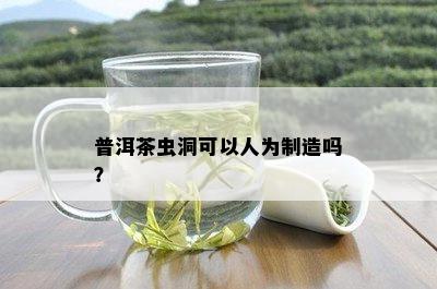 普洱茶虫洞可以人为制造吗？