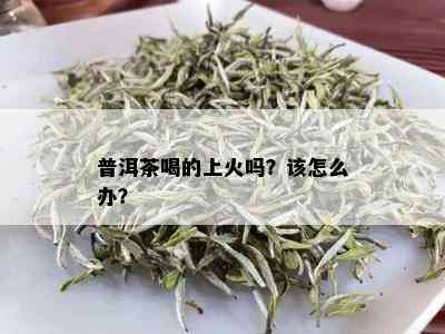 普洱茶喝的上火吗？该怎么办？