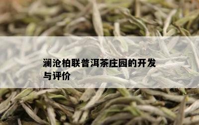 澜沧柏联普洱茶庄园的开发与评价