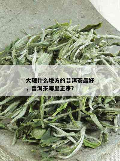 大理什么地方的普洱茶更好，普洱茶哪里正宗？