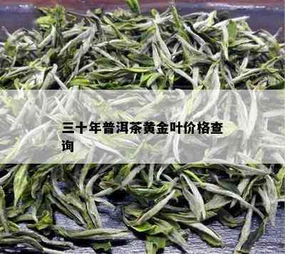 三十年普洱茶黄金叶价格查询