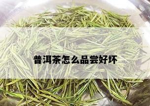 普洱茶怎么品尝好坏