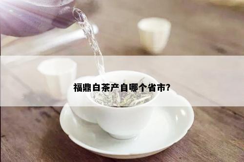 福鼎白茶产自哪个省市？