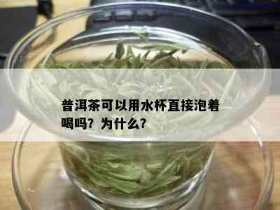 普洱茶可以用水杯直接泡着喝吗？为什么？