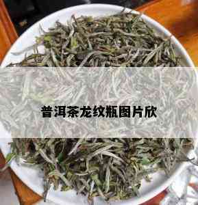 普洱茶龙纹瓶图片欣