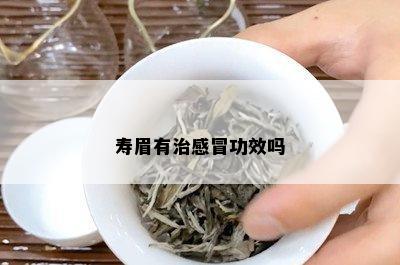 寿眉有治感冒功效吗