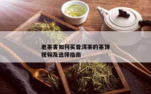 老茶客如何买普洱茶的茶饼视频及选择指南