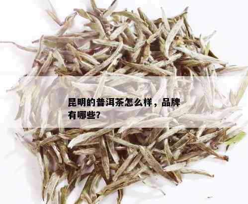 昆明的普洱茶怎么样，品牌有哪些？