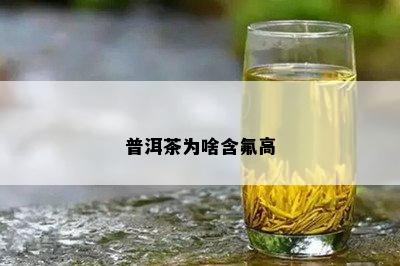 普洱茶为啥含氟高