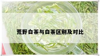 荒野白茶与白茶区别及对比