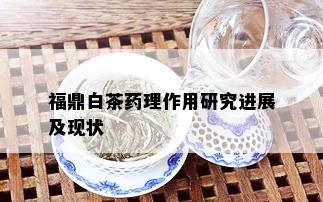 福鼎白茶药理作用研究进展及现状