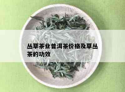 丛草茶业普洱茶价格及草丛茶的功效