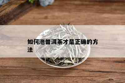 如何泡普洱茶才是正确的方法