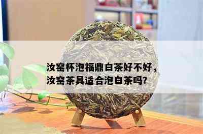 汝窑杯泡福鼎白茶好不好，汝窑茶具适合泡白茶吗？