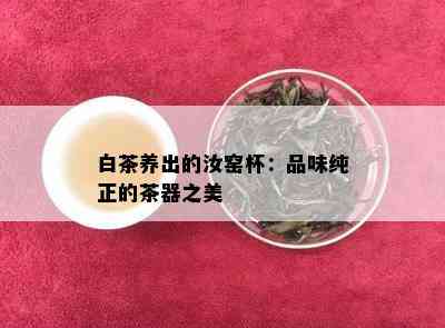 白茶养出的汝窑杯：品味纯正的茶器之美