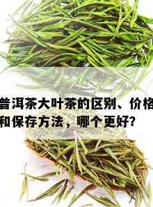 普洱茶大叶茶的区别、价格和保存方法，哪个更好？