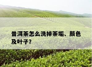 普洱茶怎么洗掉茶垢、颜色及叶子？