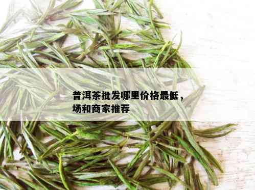 普洱茶批发哪里价格更低，场和商家推荐