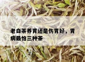 老白茶养胃还是伤胃好，胃病最怕三种茶