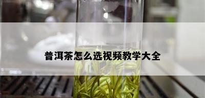 普洱茶怎么选视频教学大全