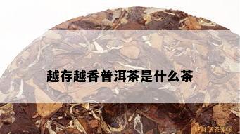 越存越香普洱茶是什么茶