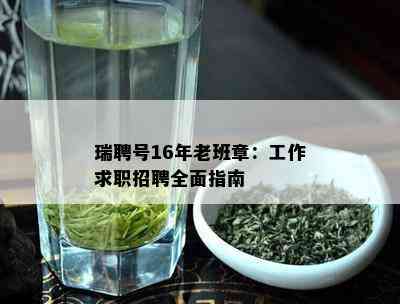 瑞聘号16年老班章：工作求职招聘全面指南