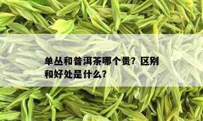 单丛和普洱茶哪个贵？区别和好处是什么？