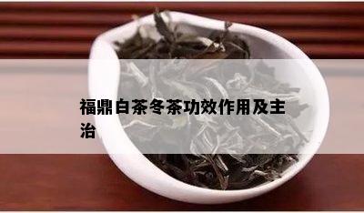 福鼎白茶冬茶功效作用及主治