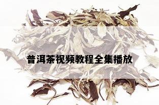 普洱茶视频教程全集播放