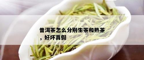 普洱茶怎么分别生茶和熟茶，好坏真假