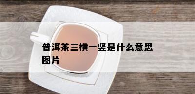 普洱茶三横一竖是什么意思图片